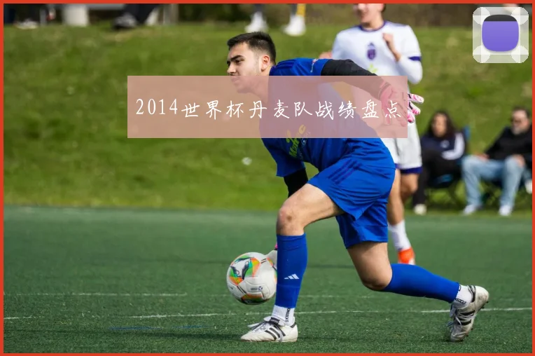 2014世界杯丹麦队战绩盘点