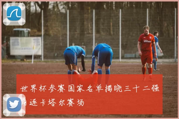 世界杯参赛国家名单揭晓三十二强角逐卡塔尔赛场