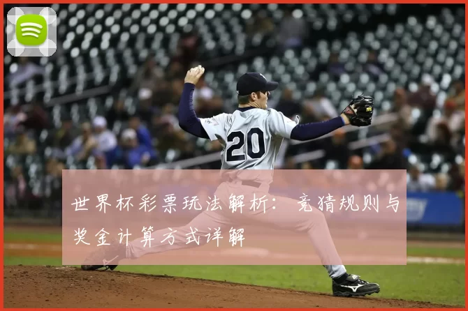 世界杯彩票玩法解析：竞猜规则与奖金计算方式详解