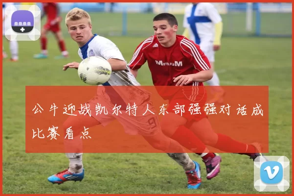 公牛迎战凯尔特人东部强强对话成比赛看点