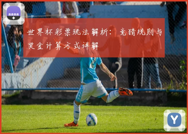 世界杯彩票玩法解析：竞猜规则与奖金计算方式详解